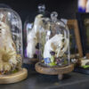 cloches featuring animal skulls in natural environments